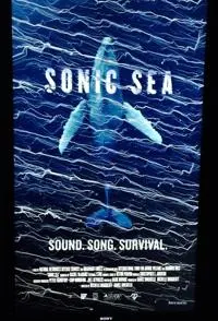 噪声海洋封面