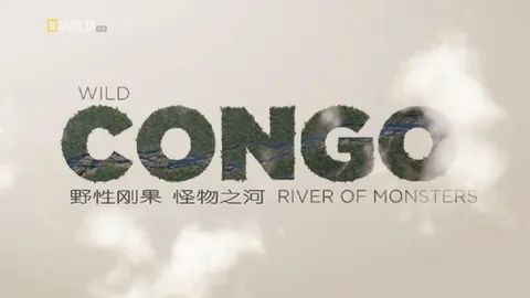 野性刚果封面