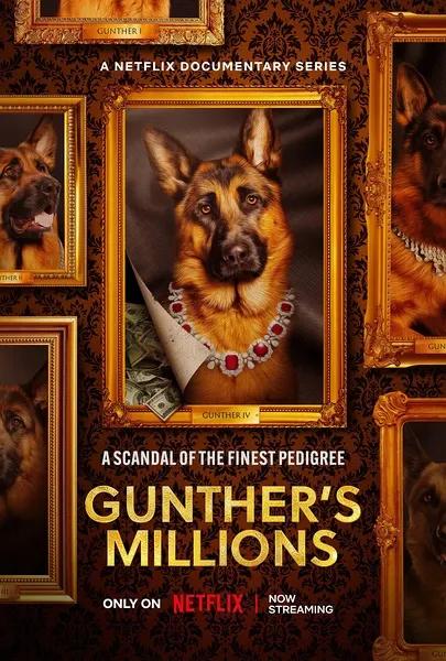 亿万富犬封面