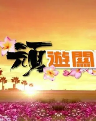 顽游关西封面