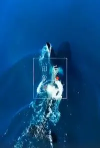 生命之海 日本印象派「生命之海」封面