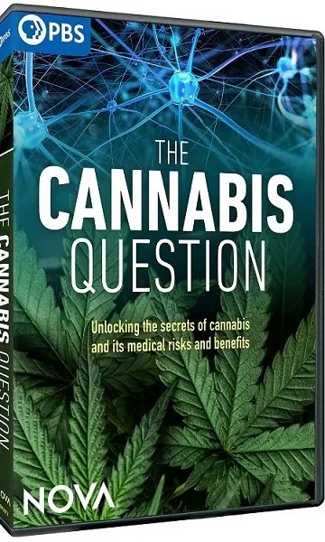 揭秘大麻封面