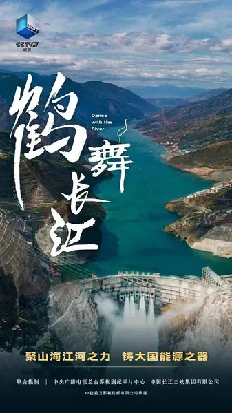 鹤舞长江封面