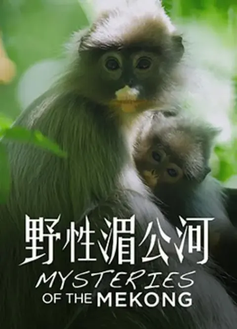 野性湄公河封面