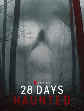 闹鬼实境28天 28封面