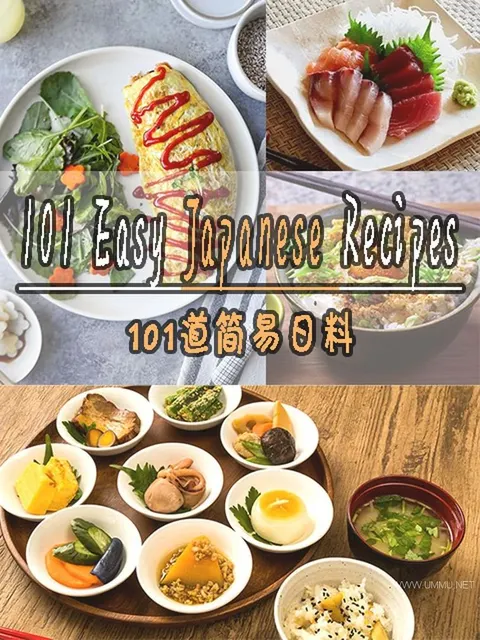 101道简易日料 101封面