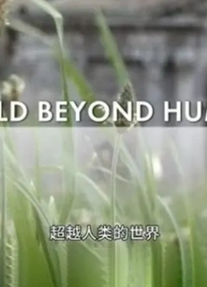 超越人类的世界封面
