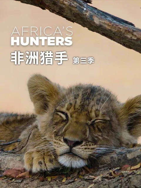 非洲猎手 第2-3季全12集封面