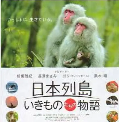 日本列岛 美丽生灵物语封面
