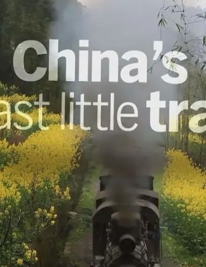 中国最后的小火车封面