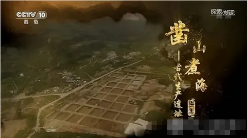 凿山煮海——古代生产遗址 2020封面