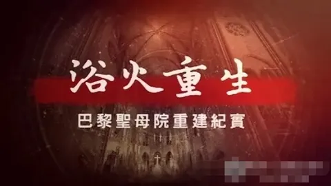 遇见新澳门 2024封面