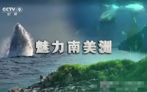 魅力南美洲/野性拉丁美洲封面