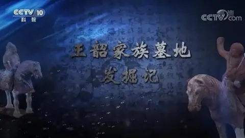 王韶家族墓地发掘记 2021封面