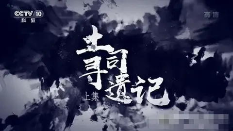 土司寻遗记 2020封面