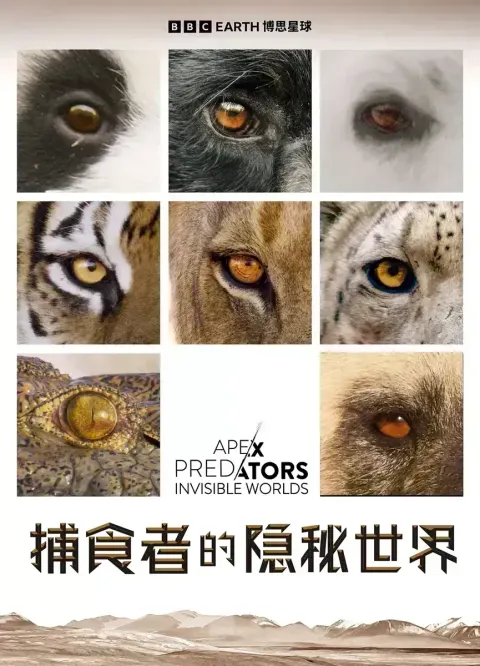 捕食者的隐秘世界封面