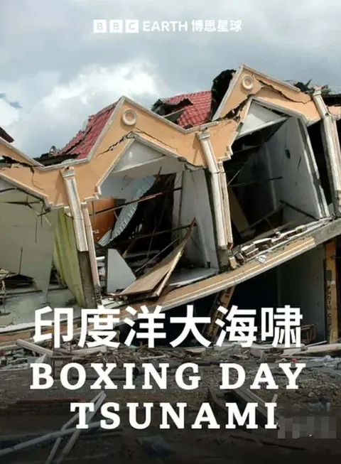 节礼日海啸封面