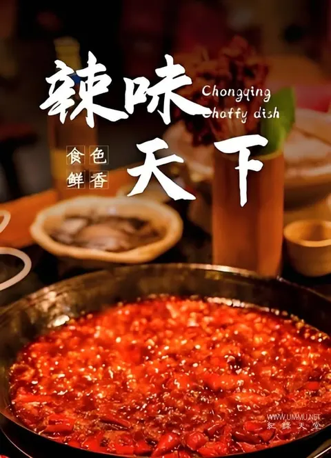 辣味天下封面