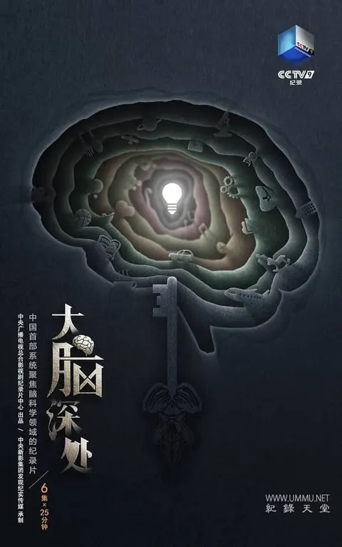大脑深处封面