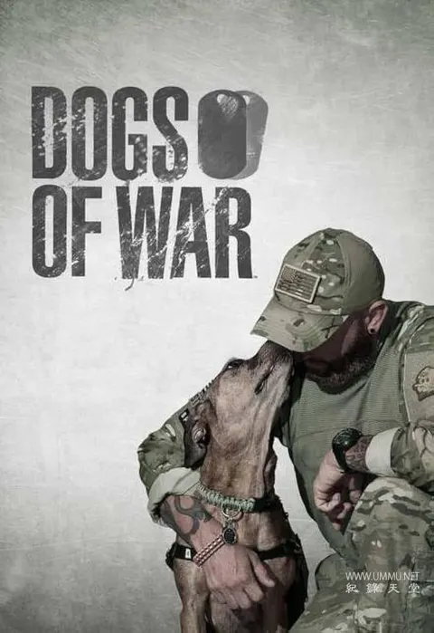 战后应激疗愈犬封面
