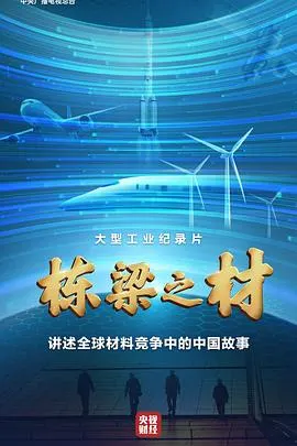 栋梁之材封面