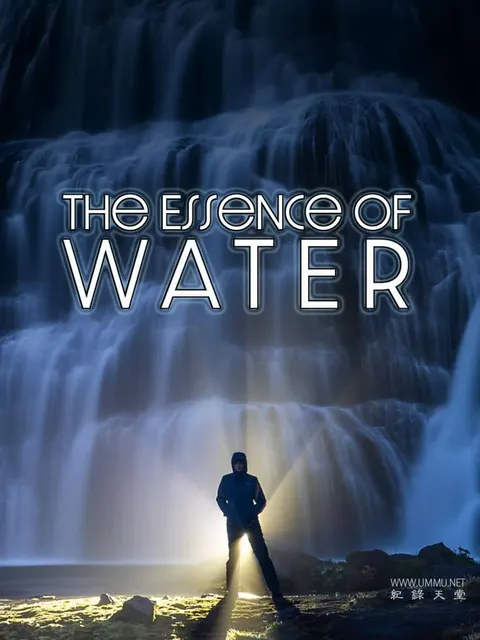 水的本质封面