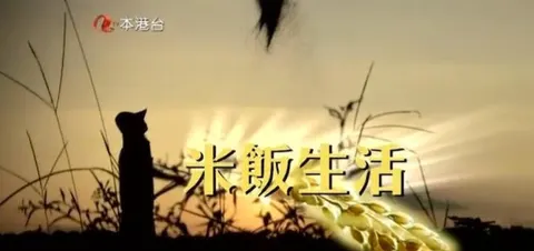 米饭生活封面