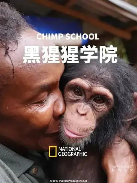 黑猩猩学院封面