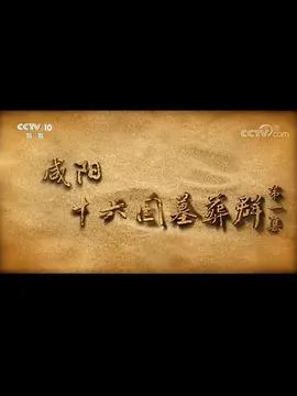 咸阳十六国墓葬群封面