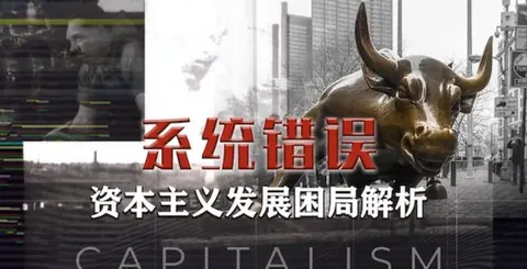 系统错误：资本主义发展困局解析 2021封面
