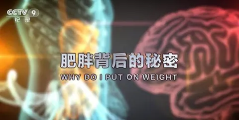 肥胖背后的秘密封面