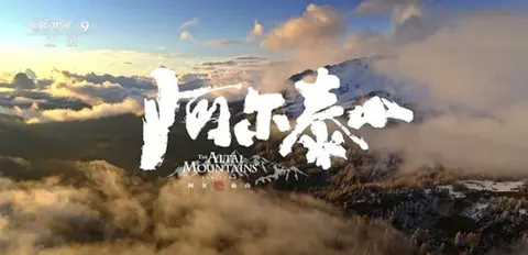 阿尔泰山封面