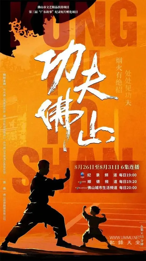 功夫佛山封面