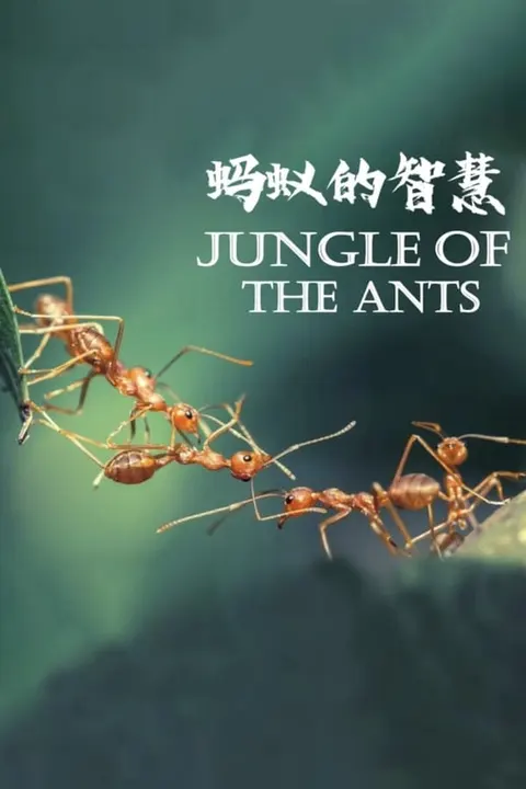 蚂蚁的智慧封面