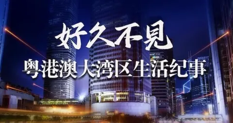好久不见·粤港澳大湾区生活纪事 2021封面