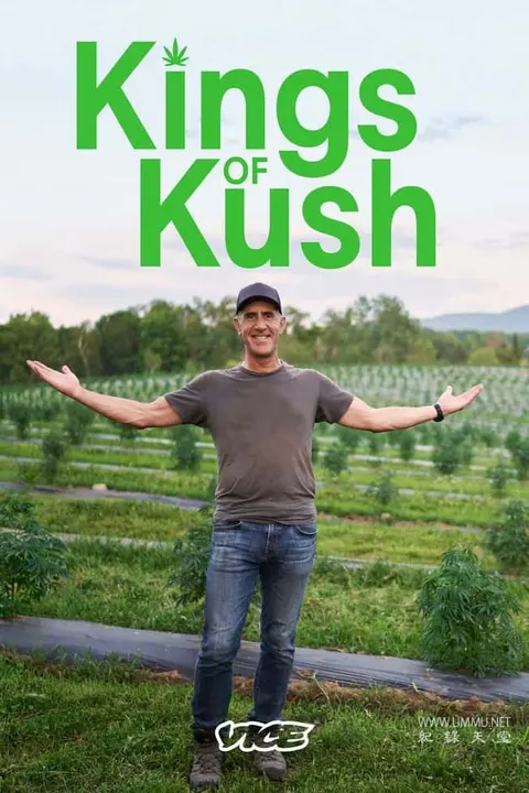 大麻之王封面