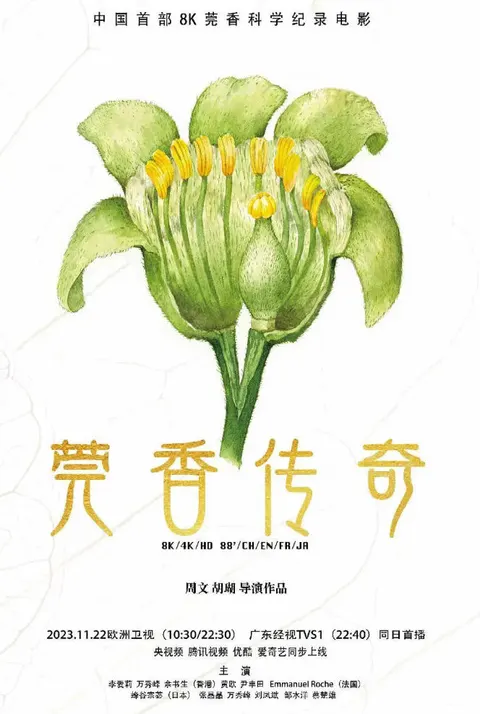 莞香传奇 2024封面