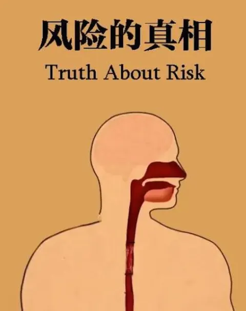 风险的真相封面