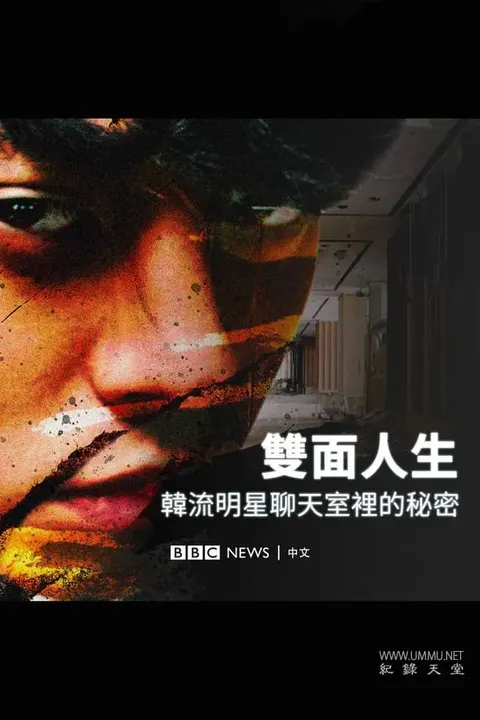 双面人生：揭露韩流明星聊天室里的秘密封面