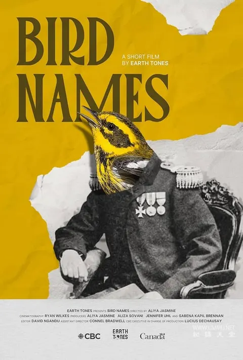 鸟类命名封面