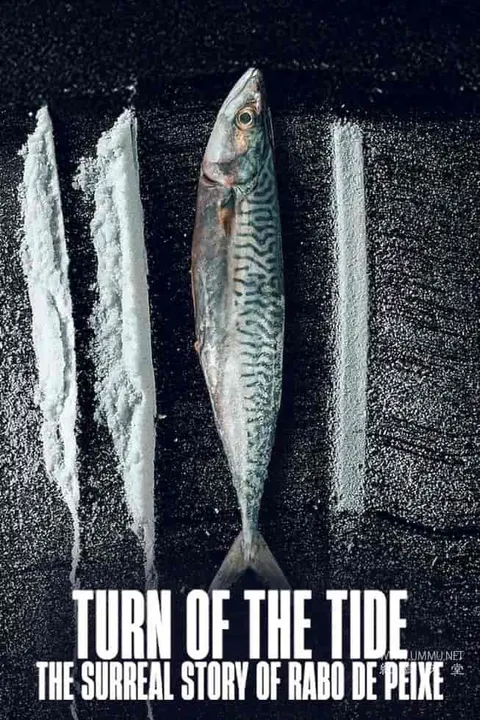 毒海狂涛：鱼尾村离奇事件封面
