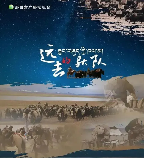 远去的驮队 2022封面