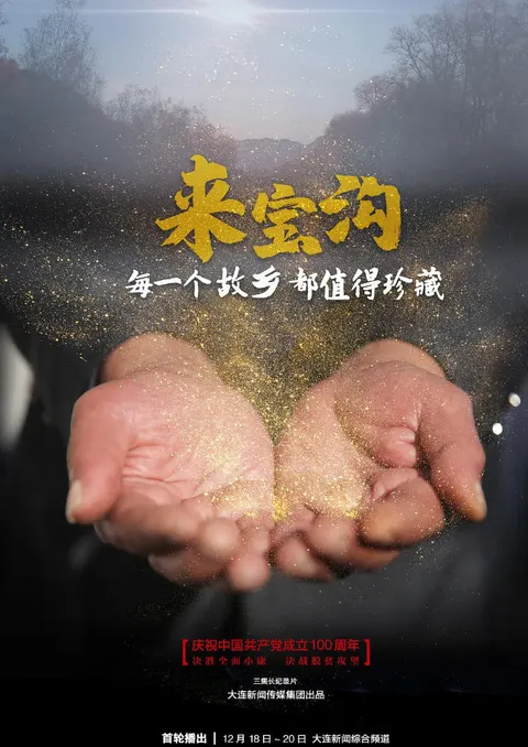 来宝沟 2024封面