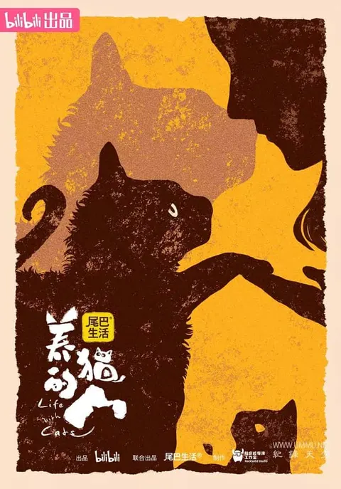 养猫的人封面